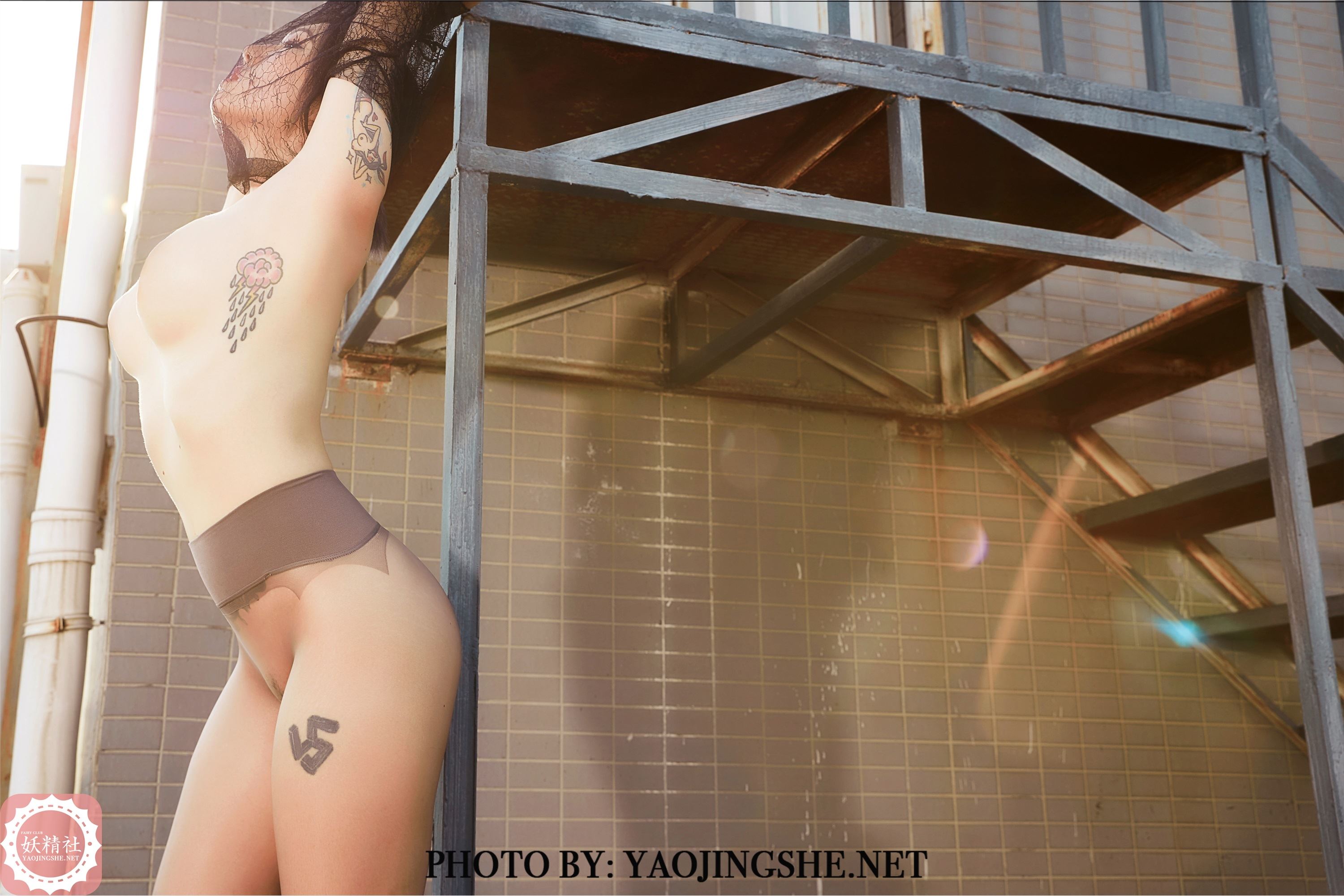 妖精社  2020.01.07 V2002 菊花 《望京》